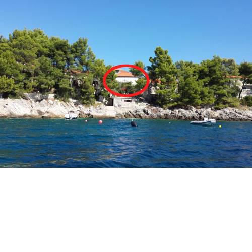 Seaside holiday house Brna, Korcula - 9296