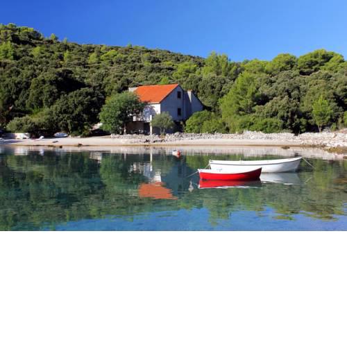 Seaside holiday house Cove Vrbovica bay - Vrbovica (Korcula) - 9223