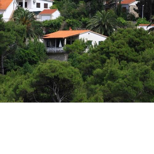 Seaside holiday house Postira, Brac - 13001