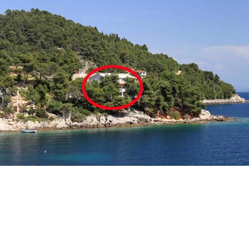 Seaside secluded apartments Cove Torac, Hvar - 575
