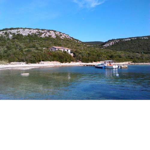 Secluded fisherman's cottage Cove Kobiljak, Pasman - 11391