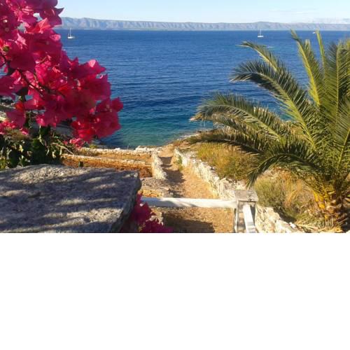 Secluded fisherman's cottage Cove Stiniva, Korcula - 11389