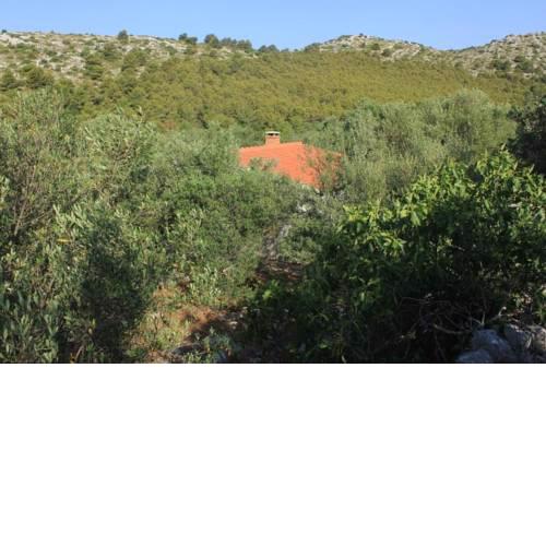 Secluded fisherman's cottage Cove Magrovica - Telascica, Dugi otok - 8122