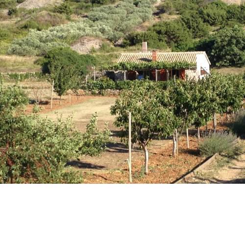 Secluded house with a parking space Podhumlje, Vis - 13984
