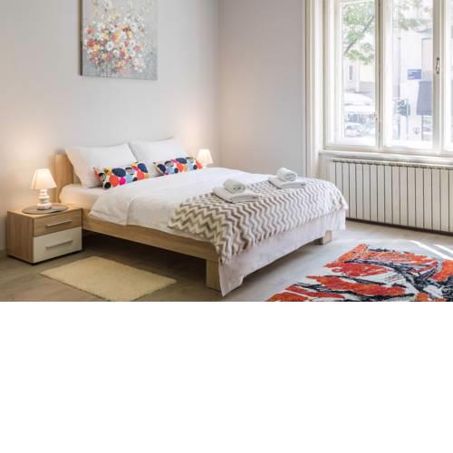Spacious 2BDR Apartment in the City Center