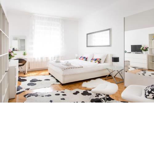 Spacious 2BDR Apartment on Tkalciceva Street