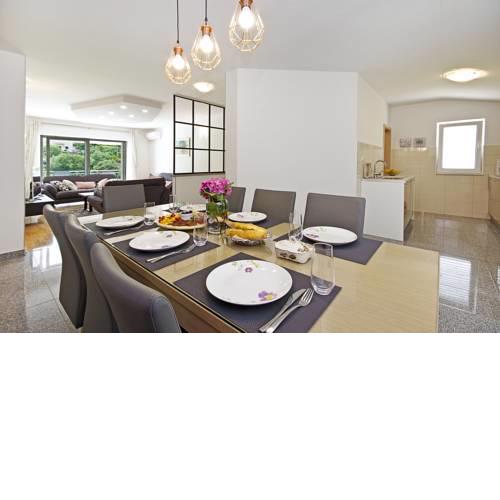 Spacious apartment with terraces