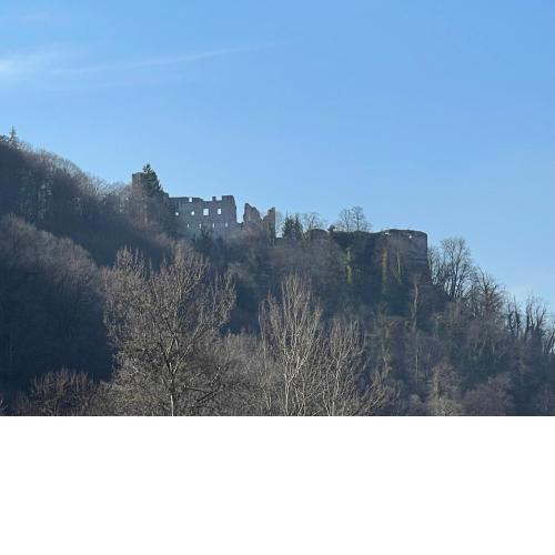 Stari grad - Samobor