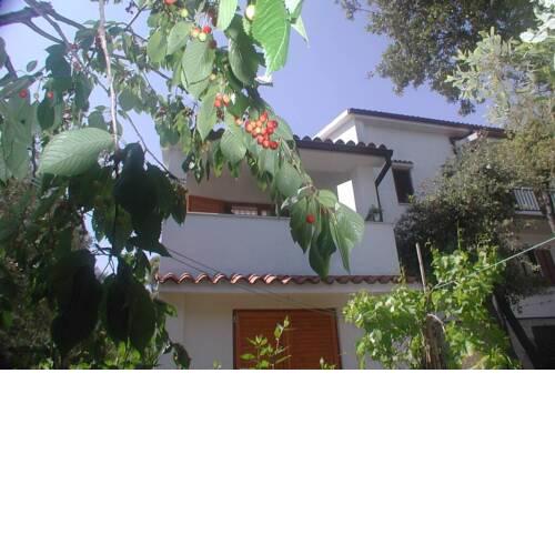 Štinjan-Studio apartment Petrić