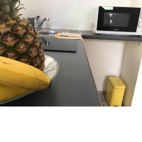 Studio apartman Fani