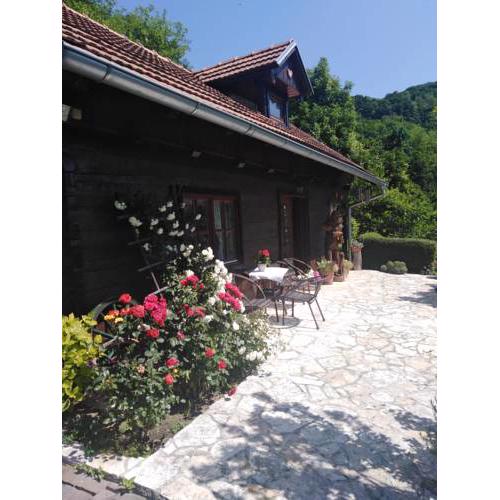 STUDIO APARTMAN HIŽICA