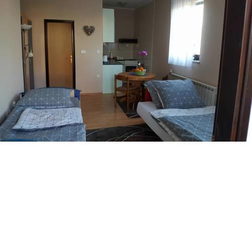 Studio apartman Salopek