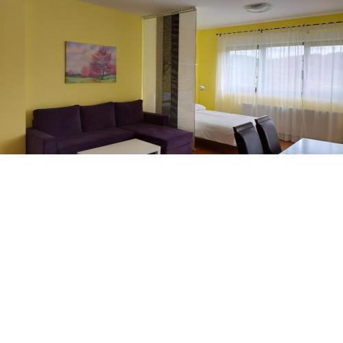 Studio apartman Sandra