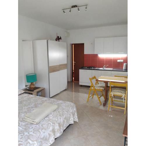 Studio apartment Violeta-50m from the beach