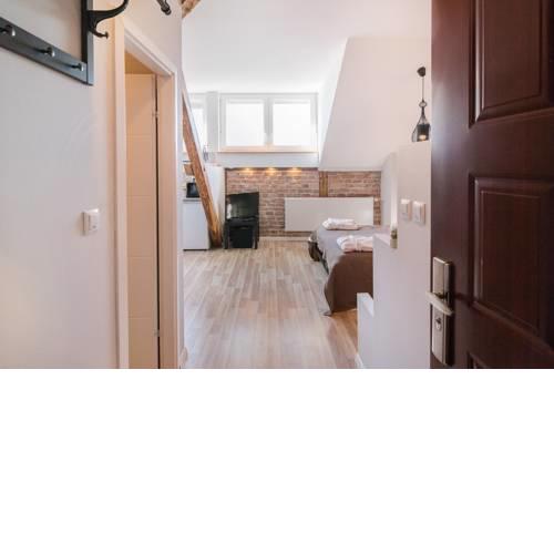 Studio Apartment Alisa