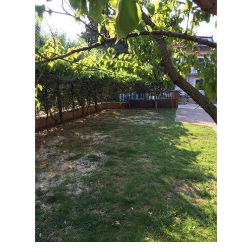 Studio apartment in Biograd na Moru with balcony, air conditioning, WiFi (4948-6)