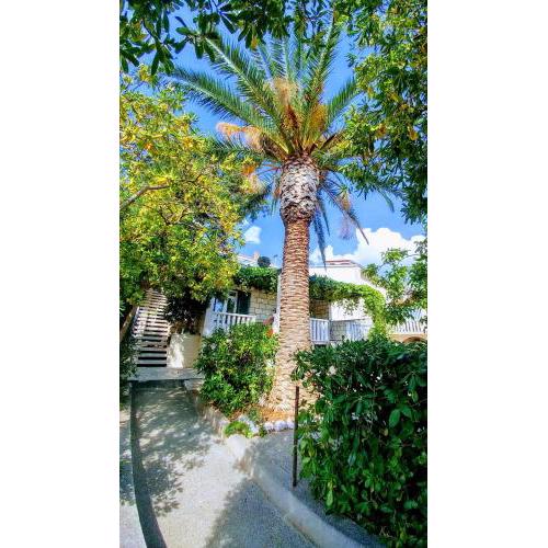 Studio apartment in Bol with sea view, terrace, air conditioning, WiFi 3634-1