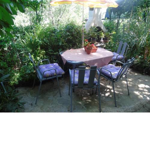 Studio apartment in Motovun
