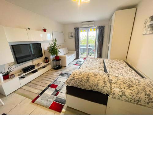 Studio apartment Kova