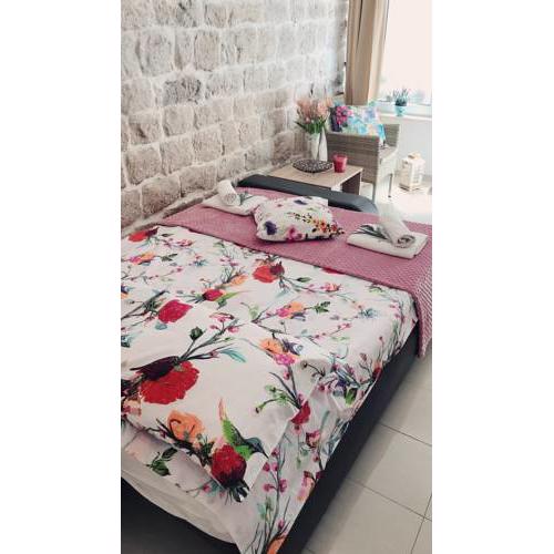 Studio Apartment Legcevic
