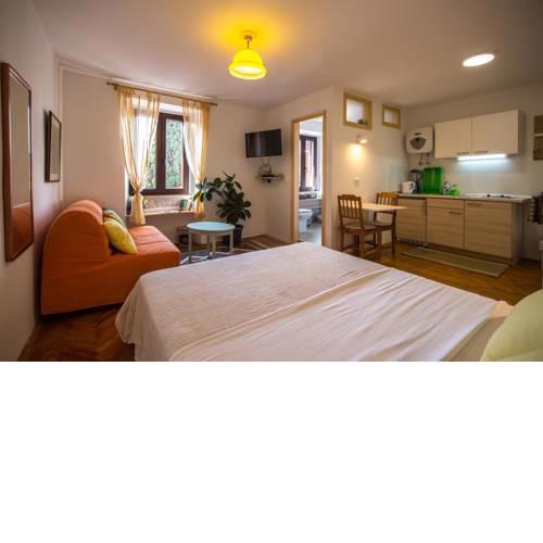 Studio apartment Lux