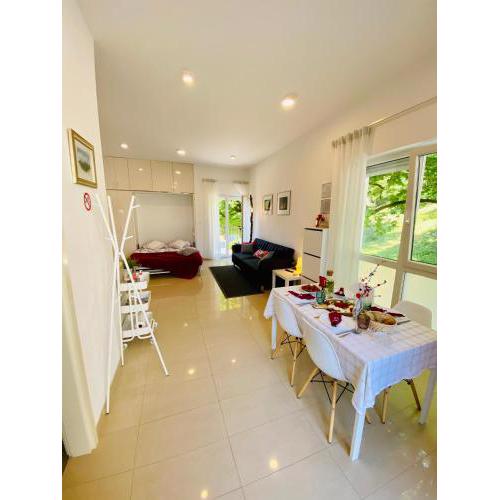 Studio apartment Stazion with parking