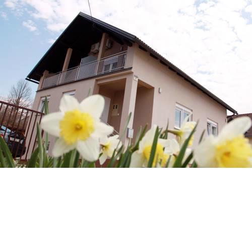 Studio Apartments Požega