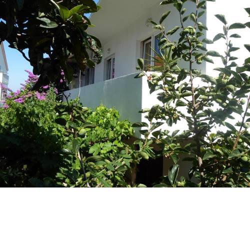 Studio Hvar 16942a