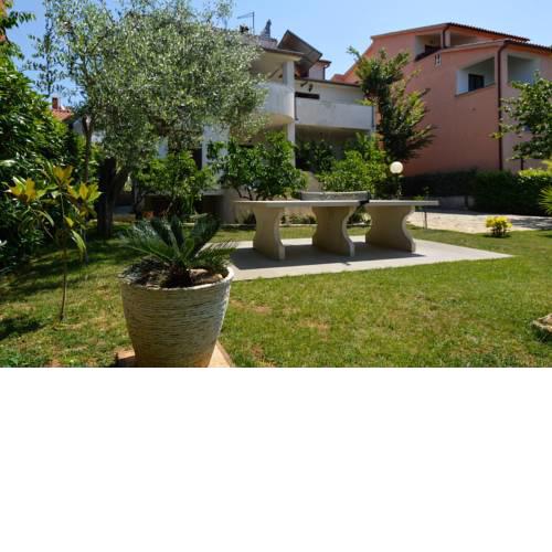 Studio in Pjescana Uvala/Istrien 11166