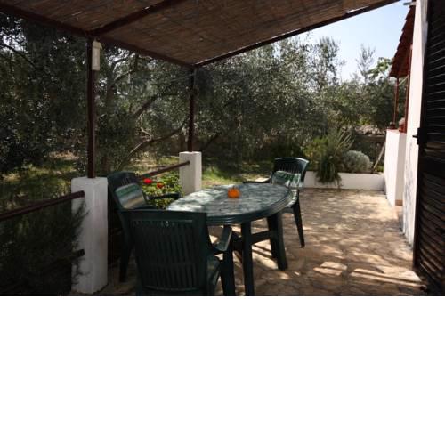Studio Maslinica 5184a