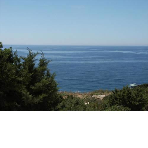 Studio Milna 555a