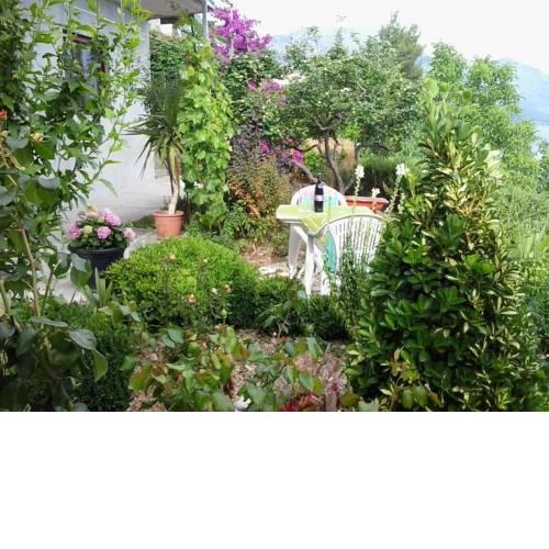 Studio Pisak 16411a