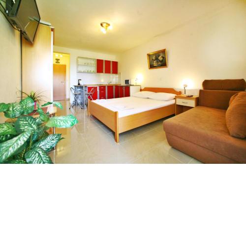 Studio with Sea view for 2-3 people by the Water