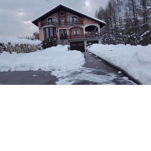šumska oaza