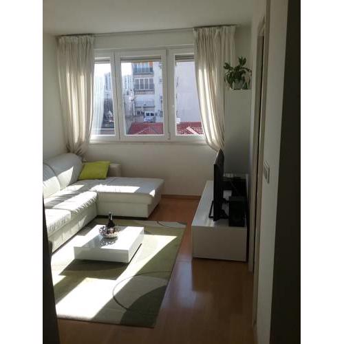 Sunny and cozy apartment