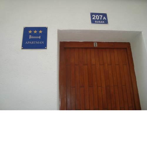 Susak 207A