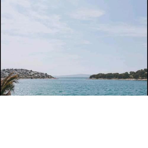 Šuština