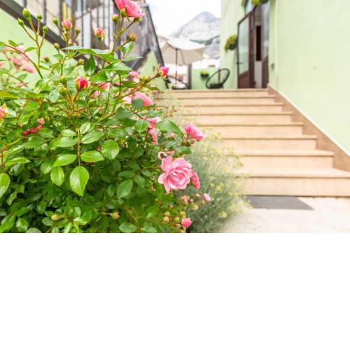 Tatijana Holiday Apartments