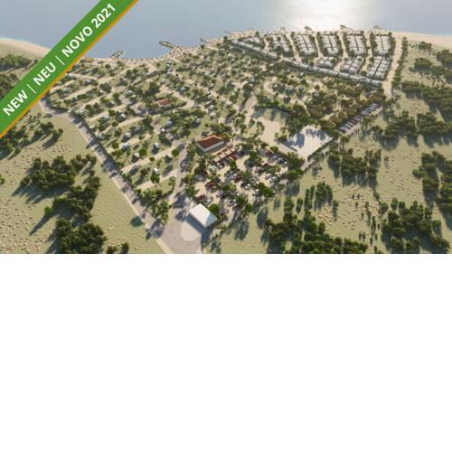 Terra Park Phalaris