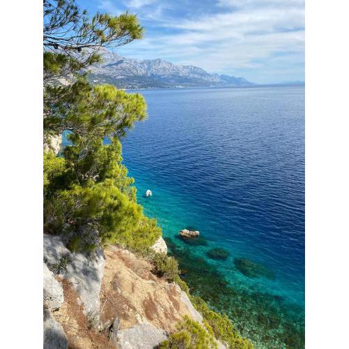 The Heart of Split
