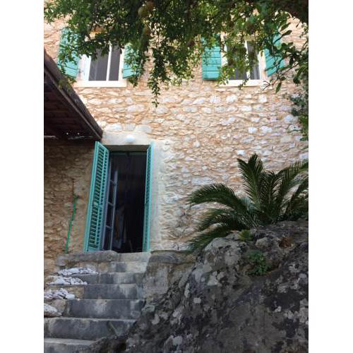 The Mandarina House