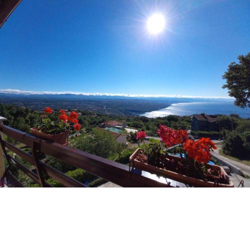 The most beautiful view