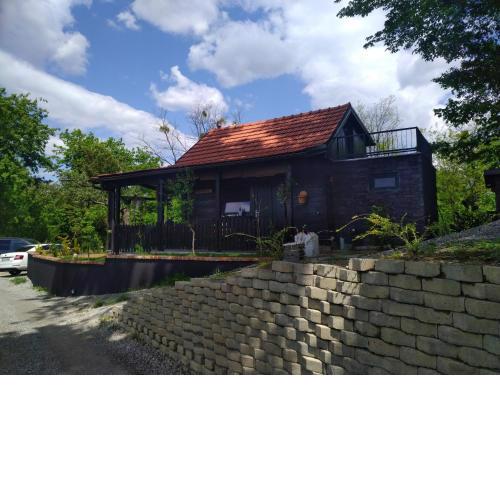 The Mouse House