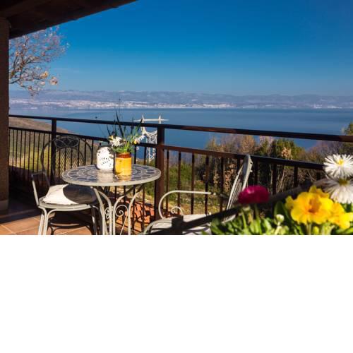 The Terrace