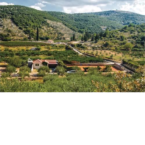Three-Bedroom Holiday Home in Postira