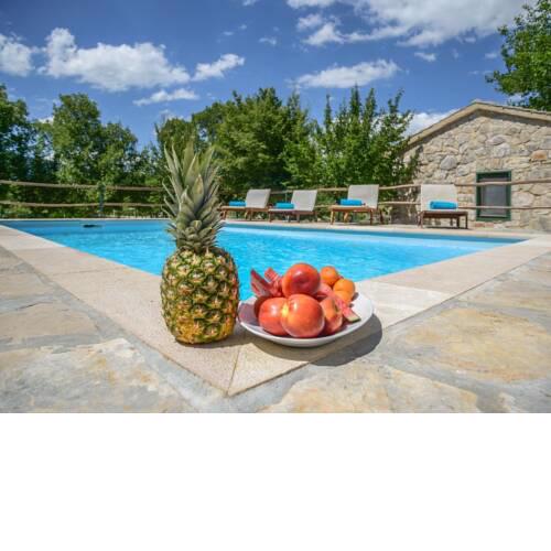 Traditional stone Villa with a private pool and complete privacy