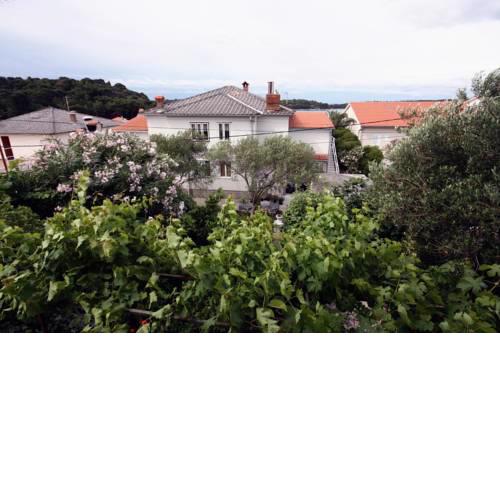 Triple Room Palit 2009b