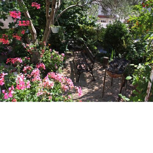 Triple Room Palit 2009c