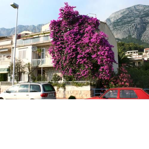 Twin Room Makarska 6644a