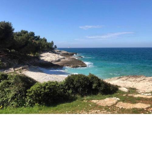 Two Bedroom Condo, Free Parking, Close to Beaches & Park